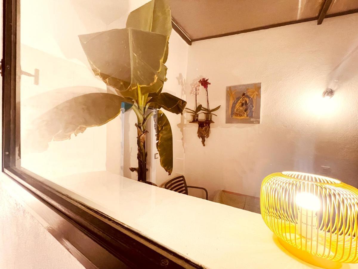 Casa Les Bambous Nimes